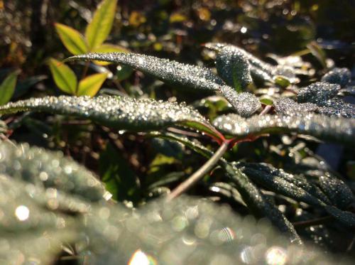 51658172_251223062465346_8177518766947565568_n